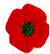 poppy2